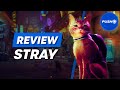 Stray PS5 Review - Is It Worth It?