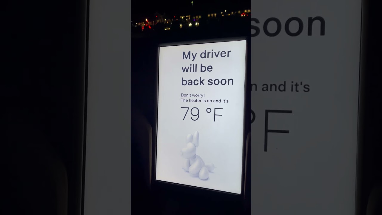 2023 Tesla Model X 2018” / Dog Mode