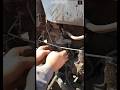 Diesel Fuel Filter Cleaning & Replacing Process | Quick Mechanical Fix #Shorts