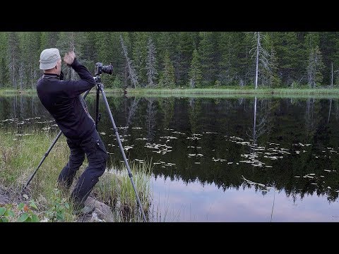 Video: Mygglys: For Gaten Og For Huset. Anti-mygglys Med Granduft, Telys Og Andre. Hvordan å Bruke?