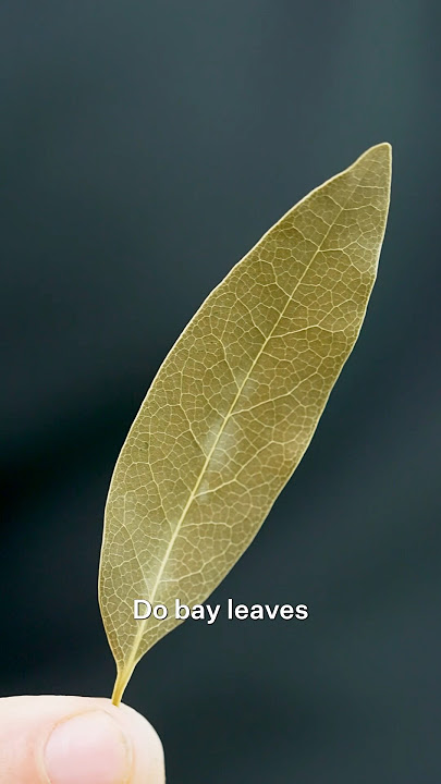 Do bay leaves actually do anything?