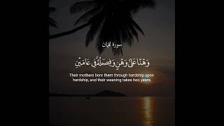 و وصينا الإنسان بوالديه حملته أمه كرها و وضعته كرها... الشيخ علي جابر رحمه الله..سورة لقمان ايه ١٤