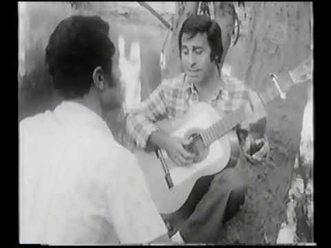 הפרברים - סתיו מואר bekijken op YouTube
