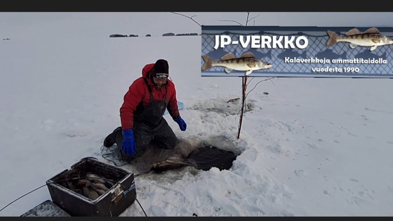 Talviverkoilla 27.1.26 NYT RYSÄHTI! herkkä verkko vuorossa