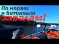 Я ИХ НАШЁЛ!!! НО ИНОГДА ПРИХОДИТСЯ КОПАТЬ!!!