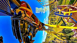 Montu Roller Coaster Back Row On Ride 4K POV Busch Gardens Tampa 2023 10 31