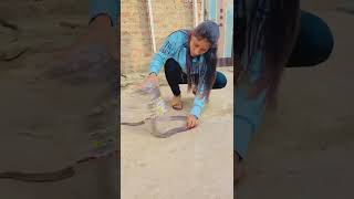 Girl catches an Indian Cobra