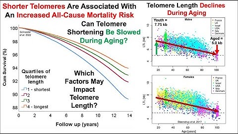 Longer Telomere Length In 2023 vs 2022 (Also, Correlations With Diet)