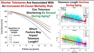 Longer Telomere Length In 2023 vs 2022 (Also, Correlations With Diet)