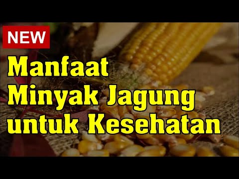 Apakah Memasak Pakai Minyak Canola Dijamin Lebih Sehat? Minyak canola termasuk salah satu pilihan . . 