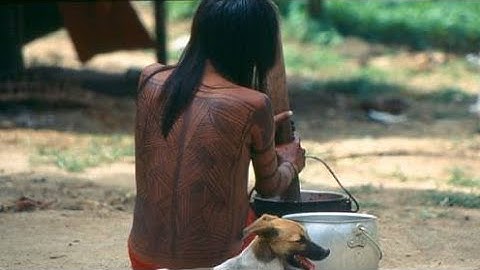 Oral and Graphic Expressions of the Wajapi