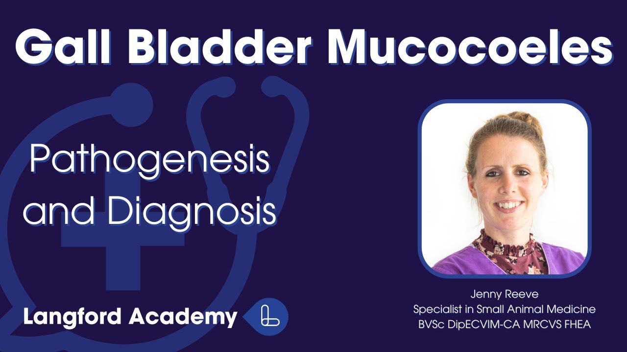 Мукоцеле желчного пузыря. Часть 1: Патогенез и диагностика.