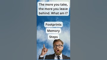 "Riddle Me This: A Journey Through Puzzling Paradoxes and Brainteasers!"