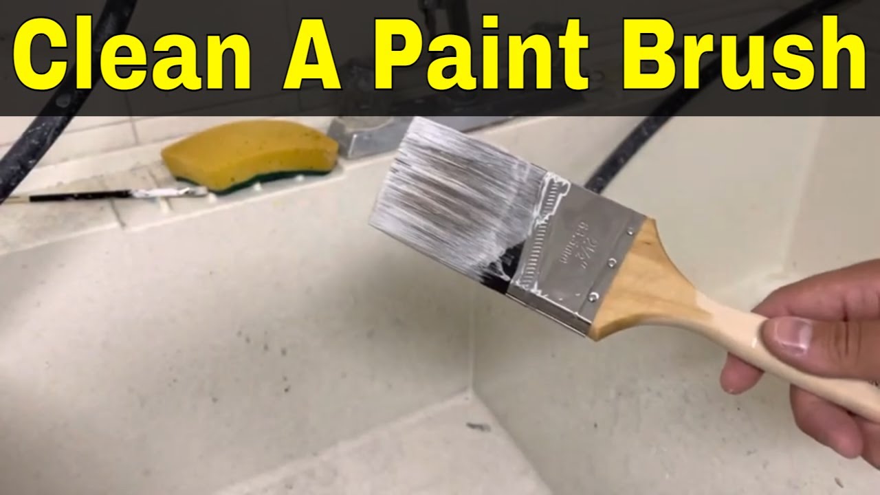 How to Properly Clean Your Paint Brushes 🎨 Make Them Last! 