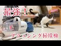 【最強！抜け毛対策】ブラッシング掃除機を犬と猫に使ってみたら...【ペットグルーミングセット】