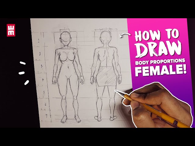 Breast sizes  Body drawing tutorial, Human body drawing, Body