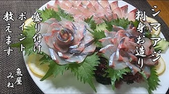 シマアジ Youtube