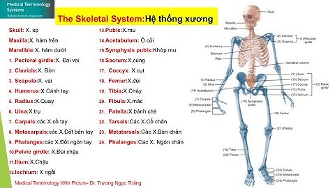 THUẬT NGỮ Y KHOA QUA HÌNH ẢNH 20(Medical terminology with picture 20)