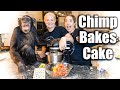 Monkey Bakes Cake with Special Recipe | Myrtle Beach Safari