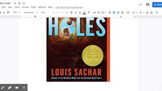 "Holes" Chapters 15-17