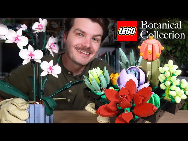 LEGO reveals next two Botanical Collection sets: 10309 Succulents and 10311  Orchid [News] - The Brothers Brick