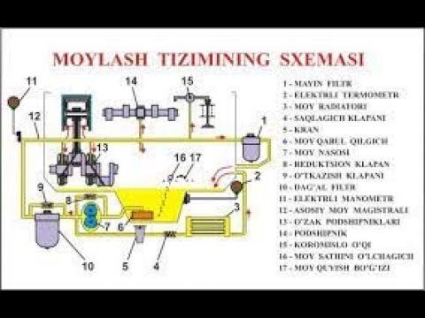 Veronika Kastro bilan jinsiy aloqa Ular fohishaning mushukini yalaydilar