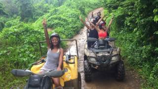 Live To Discover Carabali Rainforest Park