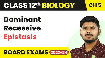 Dominant Recessive Epistasis - Principles of Inheritance & Variation | Class 12 Bio Ch 5 NCERT/NEET