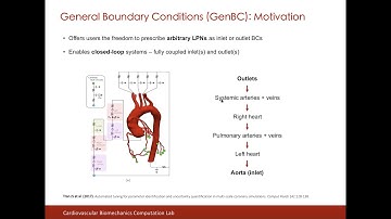 SimVascular Tutorial 12: Implementing Arbitrary LPNs as BCs via GenBC