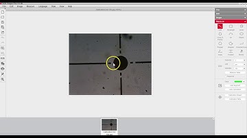 Calibrating Motic Software