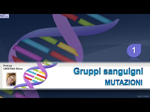 Video: Identificazione E Caratterizzazione Di Otto Nuove Mutazioni NULL SERPINA1