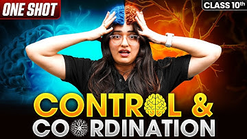 Control And Coordination | Full Chapter in ONE SHOT | CBSE Class 10 Science | NCERT | 2025-26