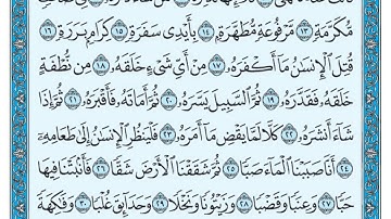 سورة عبس بندر بليلة