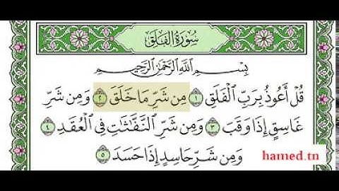 سورة الفلق - علي الحذيفي - رواية قالون