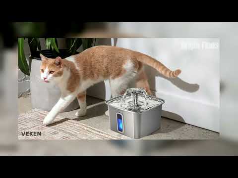PETLIBRO Dockstream 2 Review: Pros, Cons, and Is This Smart Cat Fountain Worth It? video thumbnail