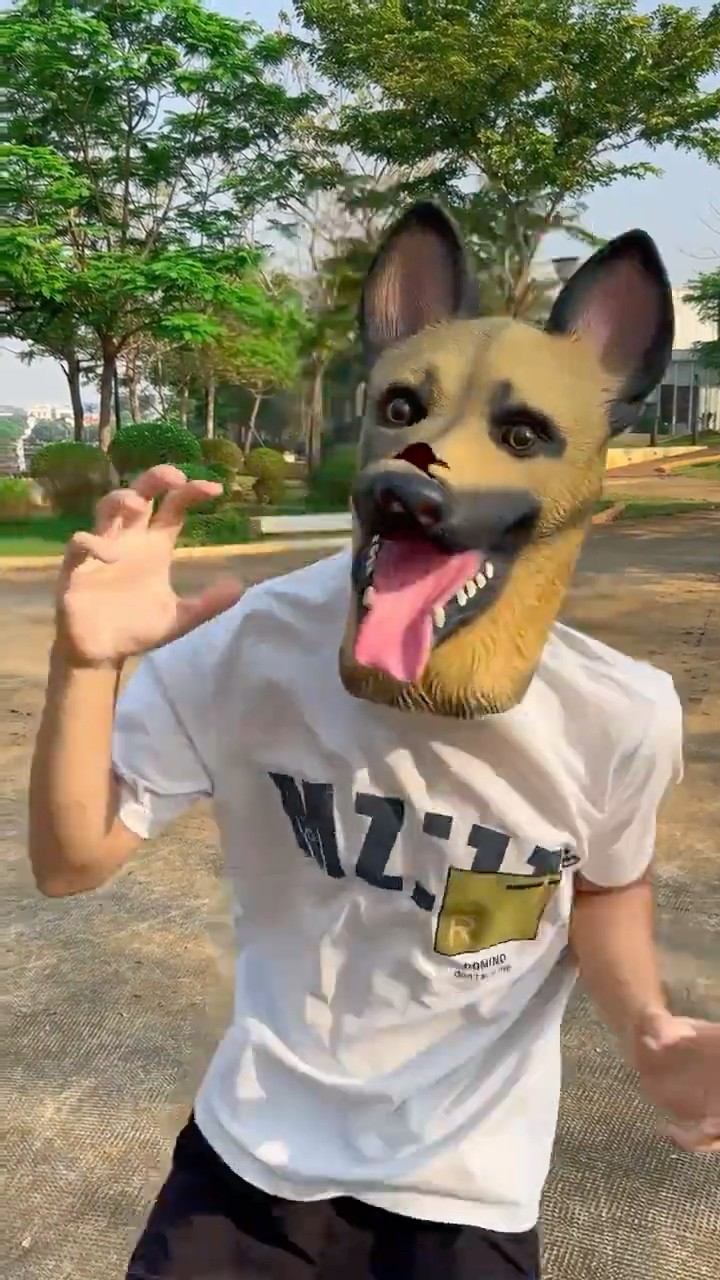 LNF - Những chú chó hung dữ || Ferocious dogs #shorts