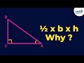 Area of Triangle = ½ x b x h  Why? | Fun Math | Don&#39;t Memorise