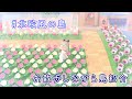 【あつ森】花に囲まれた北欧風の島の景観とマップをお散歩しながら紹介【あつまれどうぶつの森】【島クリエイター】【島紹介】【マイデザイン】
