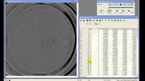 2D Object Tracking - Image-Pro Plus