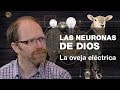 Las neuronas de Dios. Una visión científica