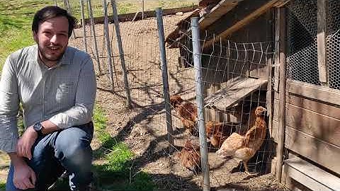 Database Group @ Gitlab - looking for backend engineers - Chicken version