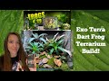 Exo Terra Frogs & Co dart frog build!