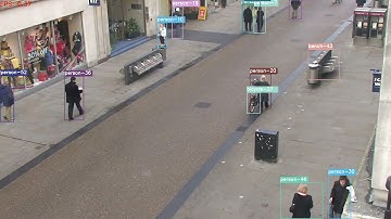 Real-time Multiple Object Detection Output