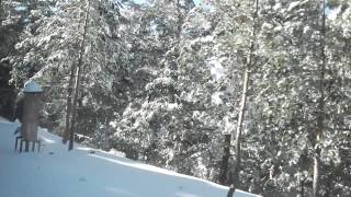 Viagem de comboio entre Puerto de Navacerrada e Cotos 24/01/2015