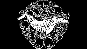 Limestone Whale - Paralyzed in Paradise (Official Music Video)