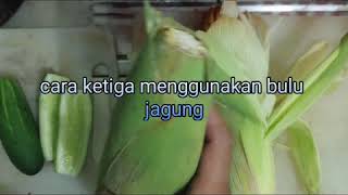 Cara ampuh Menurunkan BIRAHI khususnya PADA LOVEBIRD dan burung kicau lainya