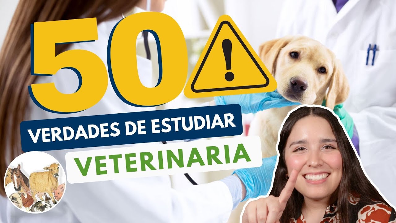 ESTUDIAR VETERINARIA 🦮🐈 50 VERDADES DE MEDICINA VETERINARIA Y ZOOTECNIA -  YouTube