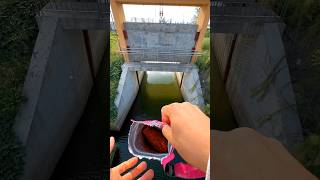 Crap fish Bait for rever Fishing। My Daily shorts Vlog-03। #fishing #fishingvideo #shortvideo