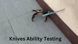 roblox games slander 3