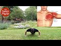 How to do Push Up? - 5-minute Full Body Workouts